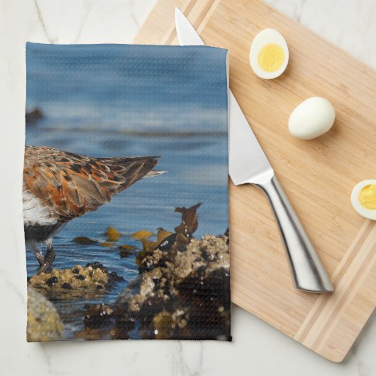 Ein wunderschöner Dunlin Goes Solo Geschirrtuch (Viertel Falte)