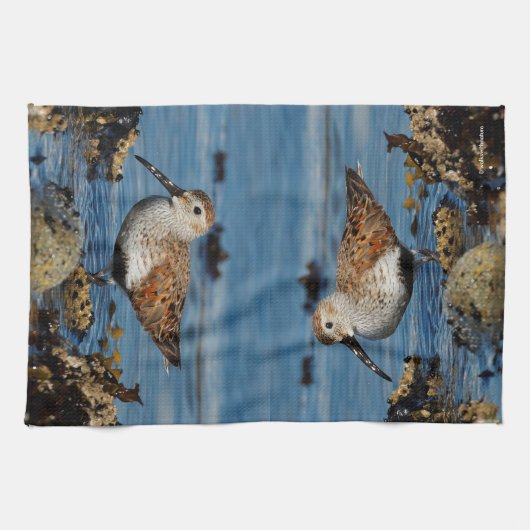 Ein wunderschöner Dunlin Goes Solo Geschirrtuch (Horizontal)