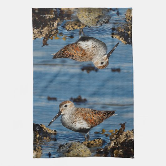 Ein wunderschöner Dunlin Goes Solo Geschirrtuch (Vertikal)