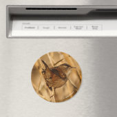 Ein wunderschöner Marsch in—Wo sonst?—der Marsch? Magnet (In Situ (Geschirrspüler))