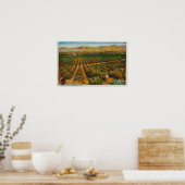 Ein wunderschöner Orange GroveState Poster (Küche)