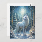 Ein wunderschöner weißer Wolf Postkarte (Vorne/Hinten)