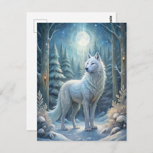 Ein wunderschöner weißer Wolf Postkarte (Vorne/Hinten)