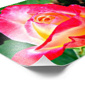 Ein wunderschönes Foto für die Rose (Ecke)