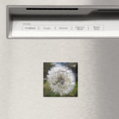Ein Wunsch in der Produktion Magnet (In Situ (Geschirrspüler))