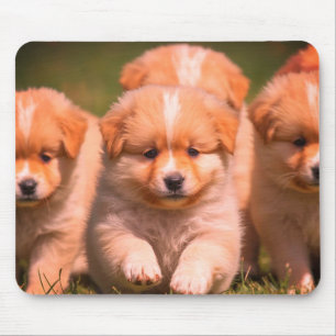 Ein Wurf süßer Welpen auf Laptop-Desktop-Tablet Mousepad