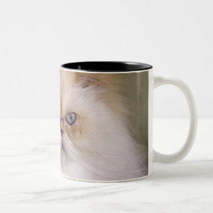 Ein wütendes, Umkippen, stützender Flammen-Punkt Zweifarbige Tasse