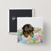Ein Yorkie-poo Hündchen und Ostereier. Button (Vorne & Hinten)