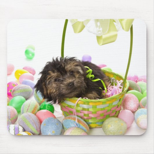 Ein Yorkie-poo Welpe, der auf einen Osterkorb trif Mousepad (Vorne)