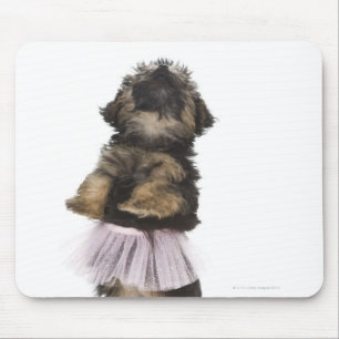 Ein Yorkie-poo Welpe in einem Ballettröckchen auf Mousepad