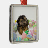 Ein Yorkie-poo Welpe und Ostereier Silbernes Ornament (Rechts)
