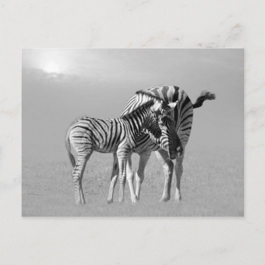 Ein zarter Moment zwischen Mutter und Kind Postkarte (Vorderseite)