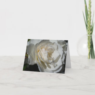 ein zarter weißer Atem der Reinheit und Unschuld Dankeskarte