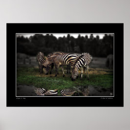 Ein Zeal von Zebras Poster