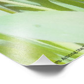 Ein Zebra unter den Tulpen Fotodruck (Ecke)