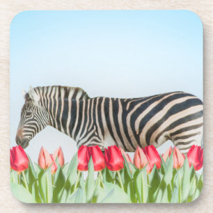 Ein Zebra unter den Tulpen Getränkeuntersetzer