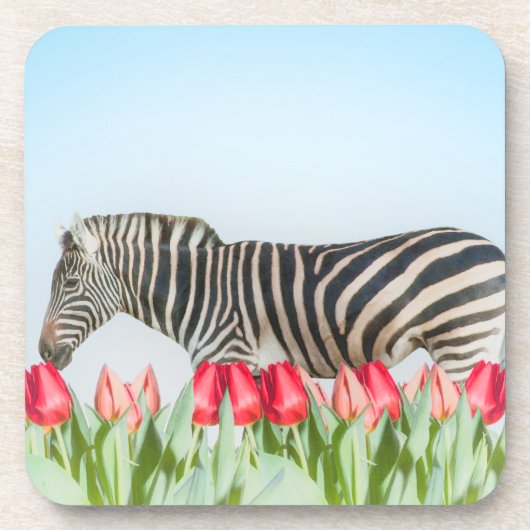 Ein Zebra unter den Tulpen Getränkeuntersetzer (Vorderseite)