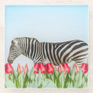 Ein Zebra unter den Tulpen Glasuntersetzer