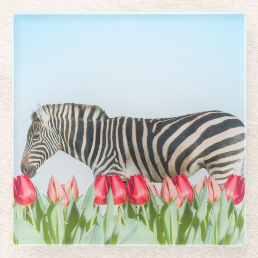 Ein Zebra unter den Tulpen Glasuntersetzer (Vorderseite)