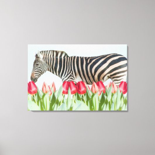 Ein Zebra unter den Tulpen Leinwanddruck (Vorderseite)
