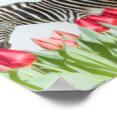 Ein Zebra unter den Tulpen Poster (Ecke)