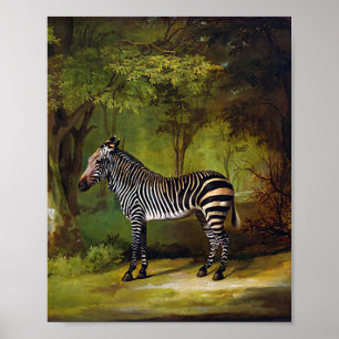Ein Zebra von George Stubbs Poster