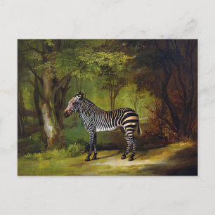 Ein Zebra von George Stubbs Postkarte