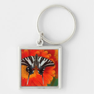 Ein Zebraschwalbenschmetterling Schlüsselanhänger