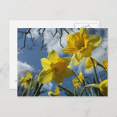 EIN ZEICHEN DER FRÜHZEIT POSTKARTE (Vorne/Hinten)