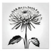 Ein zeitloses Chrysanthemum Fotodruck (Vorne)