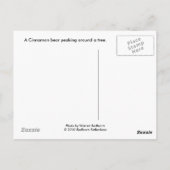 Ein Zimtbär Postkarte (Rückseite)