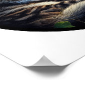 Ein zirkuläres 3D-Bild einer schönen Maine-Coon-Ka Poster (Ecke)