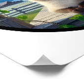 Ein zirkuläres 3D-Bild einer schönen siamesischen Poster (Ecke)