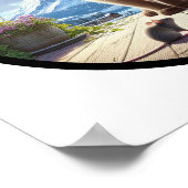 Ein zirkuläres 3D-Bild einer schönen siamesischen  Poster (Ecke)