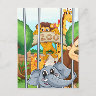 ein Zoo und Tiere Postkarte