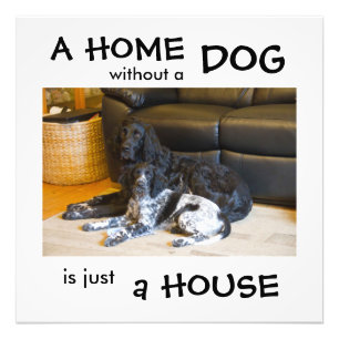 Ein Zuhause ohne Hund ist nur ein Haus - Wandkunst Fotodruck