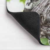 Ein Zweig einer sehr alten Weinrebe mit Graupen Mousepad (Ecke)