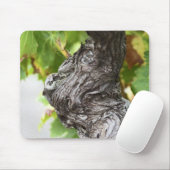 Ein Zweig einer sehr alten Weinrebe mit Graupen Mousepad (Mit Mouse)