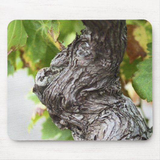 Ein Zweig einer sehr alten Weinrebe mit Graupen Mousepad (Vorne)