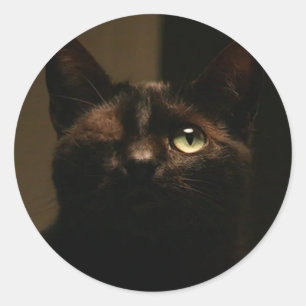 Einäugige Katze - Tom Sawyer Runder Aufkleber