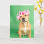 Einblende Karte (Gelbe Blume)