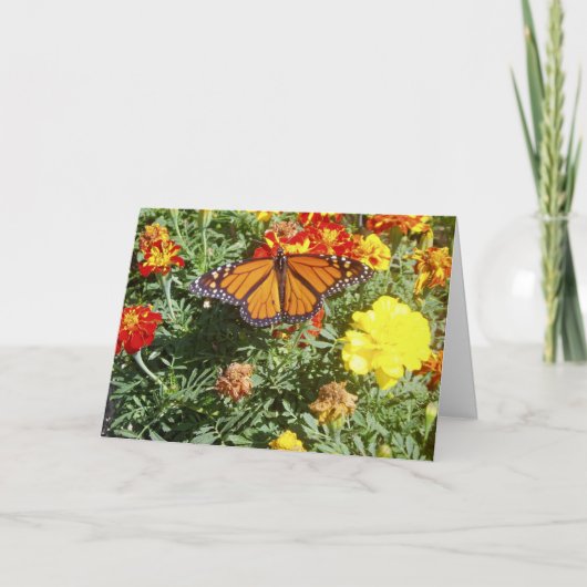 "Einblendung" Get Well Card Karte (Vorderseite)