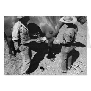 Einbrennende Pferde mit der Heugabelmarke