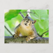 Einchecken Postkarte (Vorderseite)