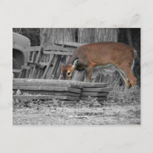 eindeutig wichtig postkarte