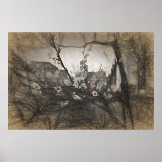 Eindruck der Kirschblüte Poster (Vorne)