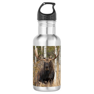 Eindrucksvolle Stier-Elche Edelstahlflasche