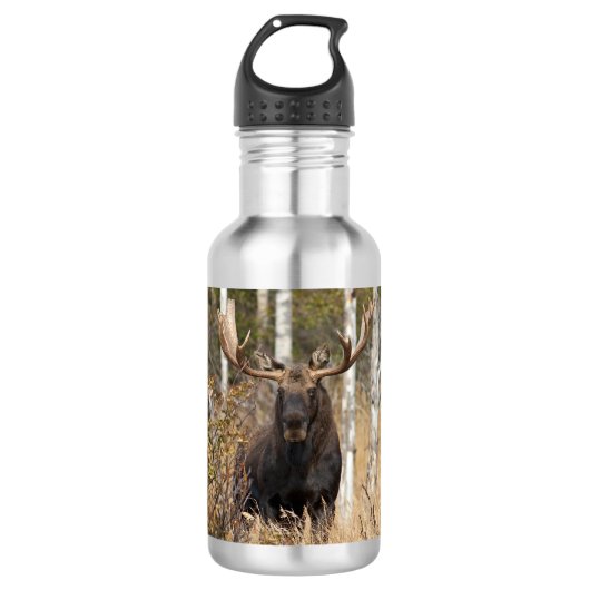 Eindrucksvolle Stier-Elche Edelstahlflasche (Vorderseite)
