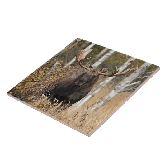 Eindrucksvolle Stier-Elche Fliese (Seite)