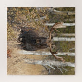 Eindrucksvolle Stier-Elche Puzzle (Horizontal)